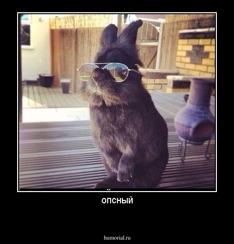 опсный

