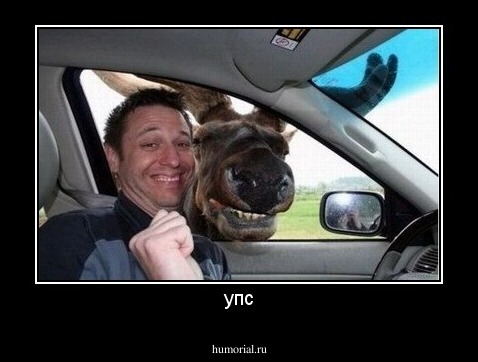 упс