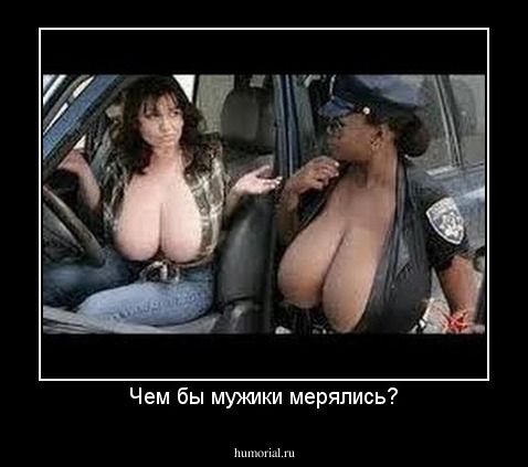 Чем бы мужики мерялись?