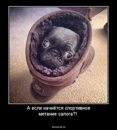 А если начнётся спортивное метание сапога?!