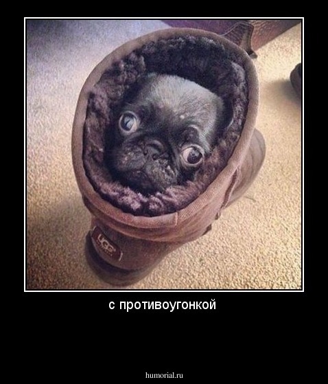 с противоугонкой 

