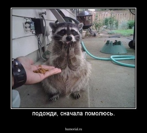 подожди, сначала помолюсь.