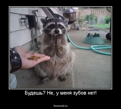Будешь? Не, у меня зубов нет!