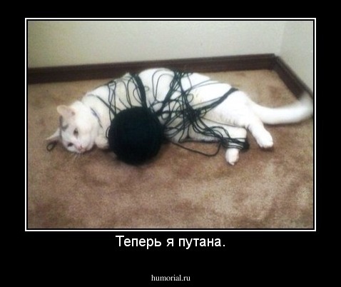 Теперь я путана.