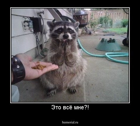 Это всё мне?!