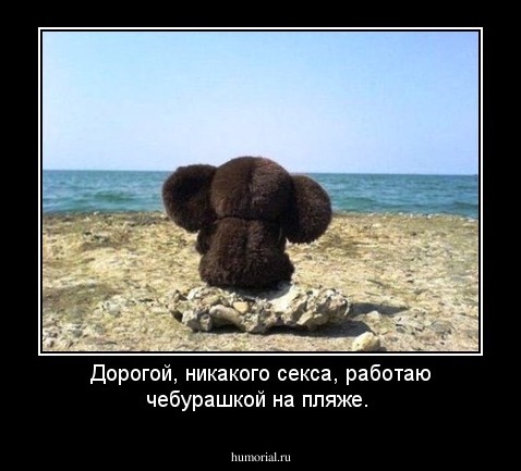 Дорогой, никакого секса,
 
работаю чебурашкой на пляже.