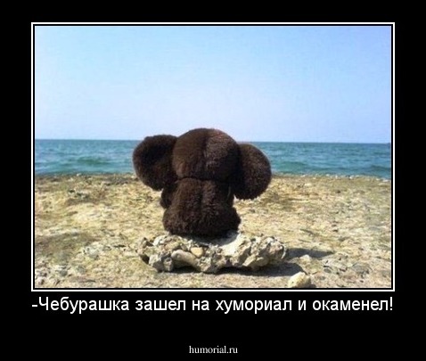 -Чебурашка зашел на хумориал и окаменел!