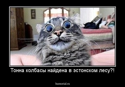 Тонна колбасы найдена в эстонском лесу?!