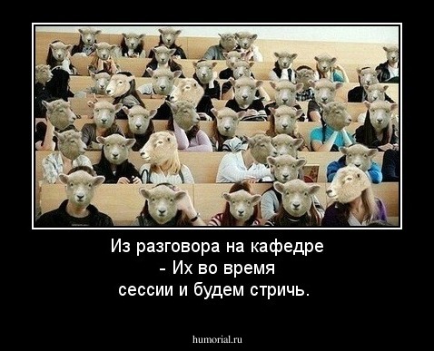 Из разговора на кафедре - Их во время сессии и будем стричь.