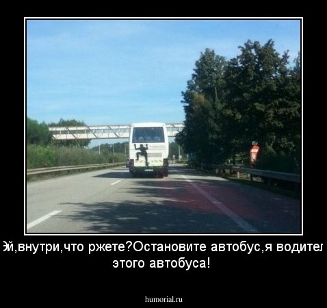 -Эй,внутри,что ржете?Остановите автобус,я водитель этого автобуса!