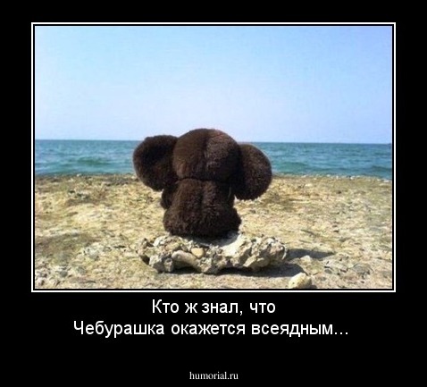 Кто ж знал, что Чебурашка окажется всеядным...