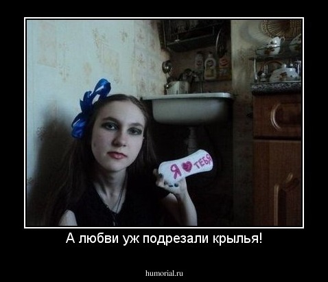 А любви уж подрезали крылья!