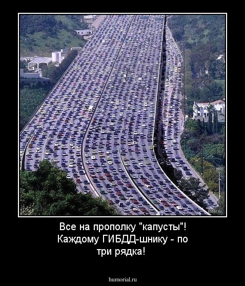 Все на прополку "капусты"! Каждому ГИБДД-шнику - по три рядка!