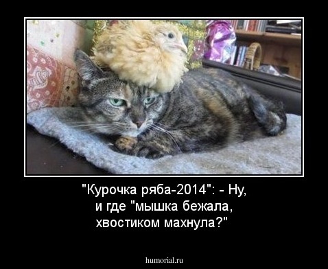 "Курочка ряба-2014": - Ну, и где "мышка бежала, хвостиком махнула?"