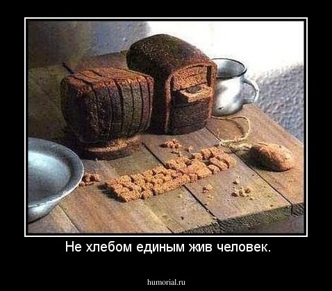  Не хлебом единым жив человек.