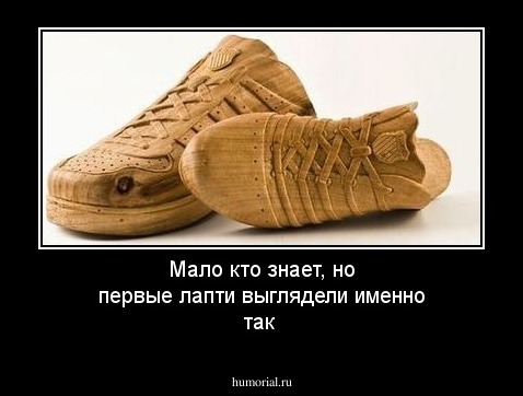 Мало кто знает, но первые лапти выглядели именно так