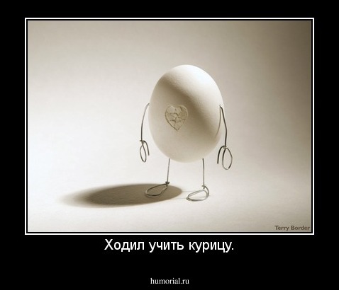 Ходил учить курицу.