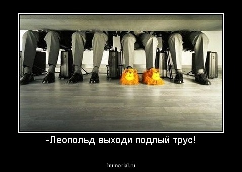 -Леопольд выходи подлый трус!