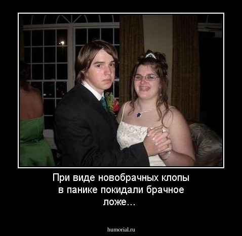 При виде новобрачных клопы в панике покидали брачное ложе... 