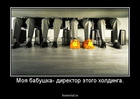 Моя бабушка- директор этого холдинга.