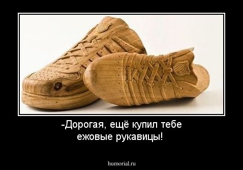 -Дорогая, ещё купил тебе ежовые рукавицы!