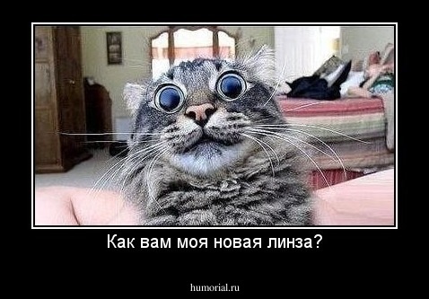 Как вам моя новая линза?