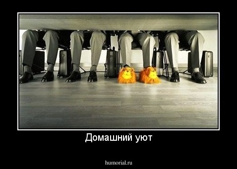 Домашний уют