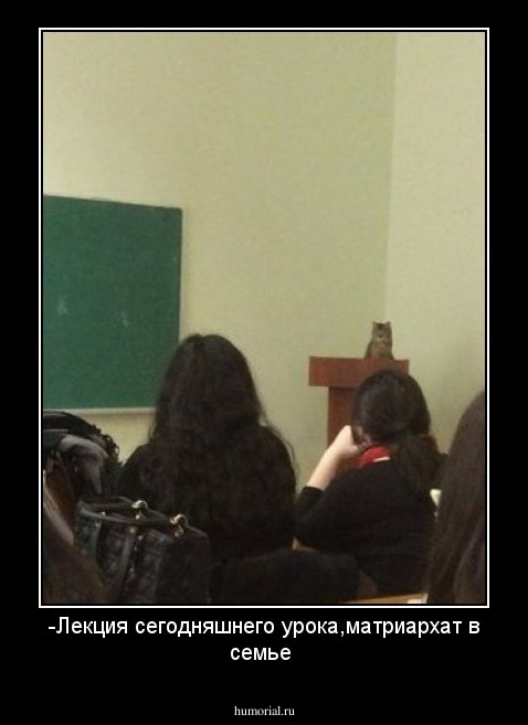 -Лекция сегодняшнего урока,матриархат в семье