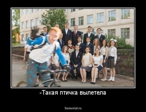 -Такая птичка вылетела