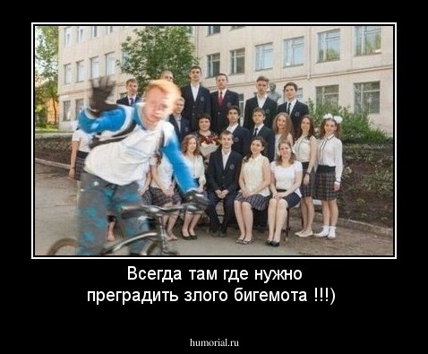 Всегда там где нужно преградить злого бигемота !!!)