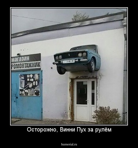 Осторожно, Винни Пух за рулём