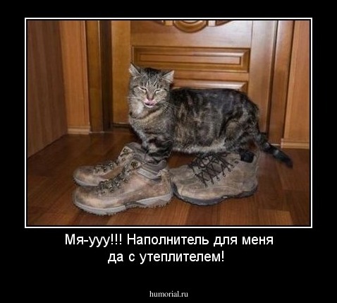 Мя-ууу!!! Наполнитель для меня да с утеплителем! 