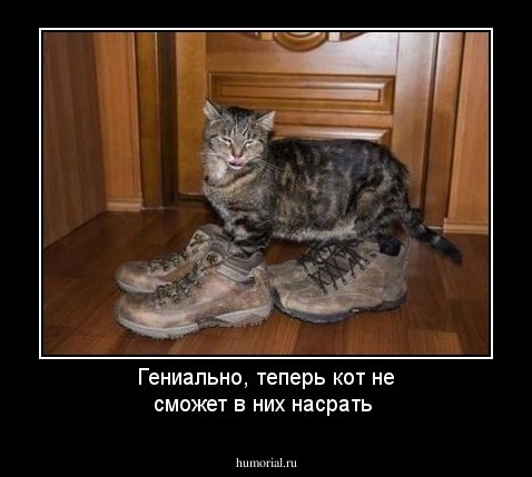 Гениально, теперь кот не сможет в них насрать 