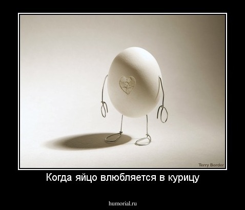 Когда яйцо влюбляется в курицу