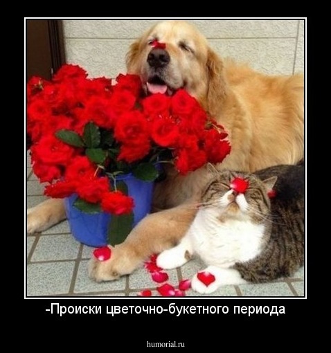 -Происки цветочно-букетного периода