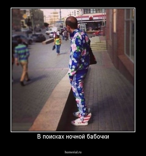 В поисках ночной бабочки