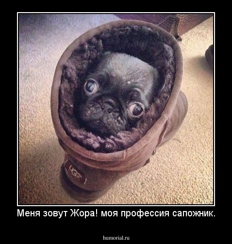 Меня зовут Жора! моя профессия сапожник.