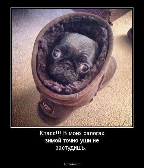 Класс!!!  В моих сапогах зимой точно уши не застудишь.