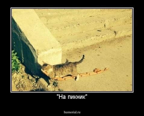"На пикник"