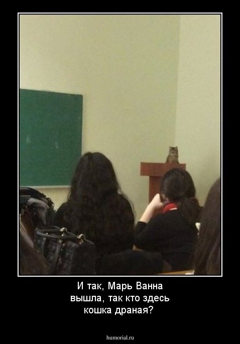 И так, Марь Ванна вышла, так кто здесь кошка драная?