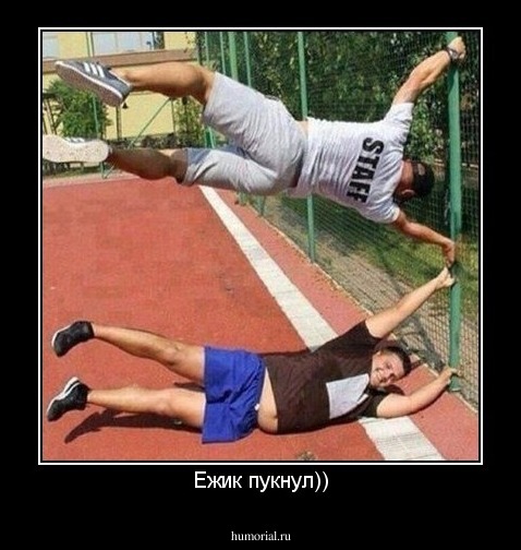 Ежик пукнул))