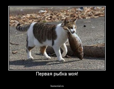 Первая рыбка моя!