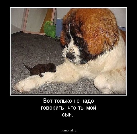 Вот только не надо говорить, что ты мой сын.