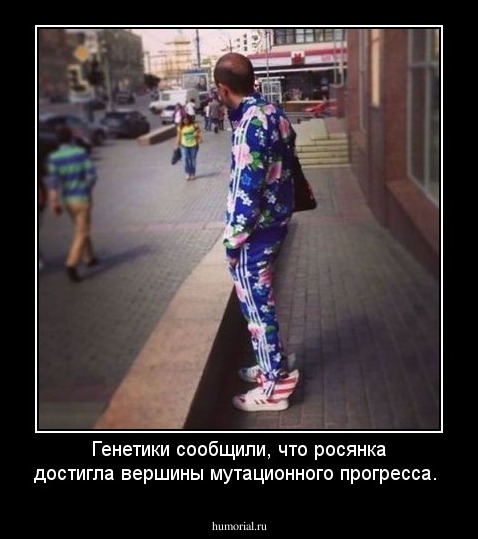 Генетики сообщили, что росянка достигла вершины мутационного прогресса.