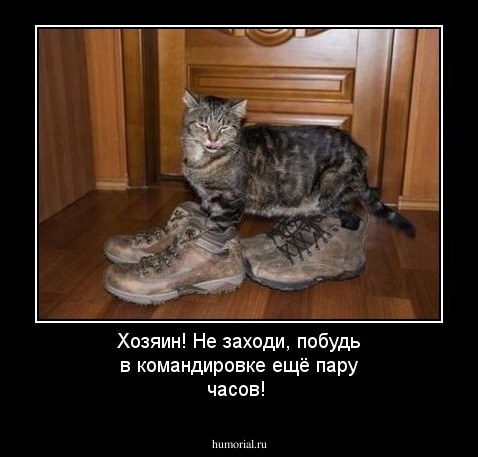 Хозяин! Не заходи, побудь в командировке ещё пару часов!