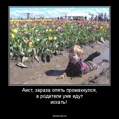 Аист, зараза опять промахнулся, а родители уже идут искать!