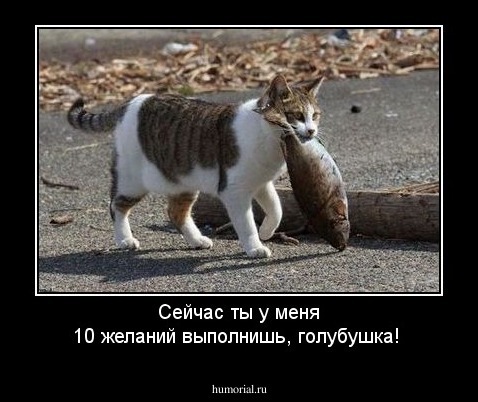 Сейчас ты у меня 10 желаний выполнишь, голубушка!