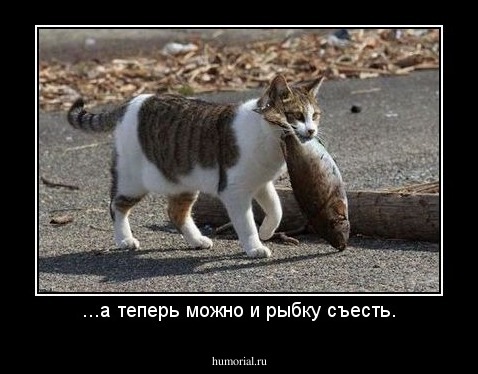 ...а теперь можно и рыбку съесть.
