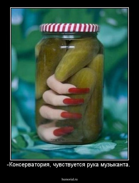 -Консерватория, чувствуется рука музыканта.