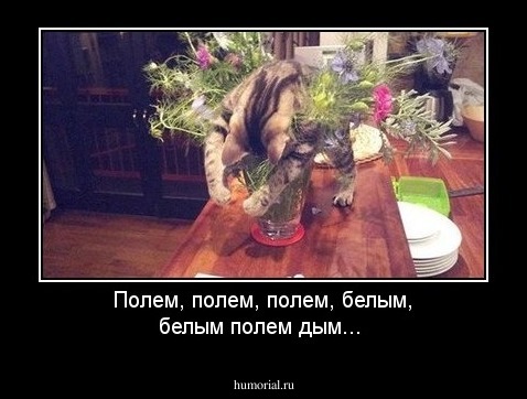 Полем, полем, полем, белым, белым полем дым...
